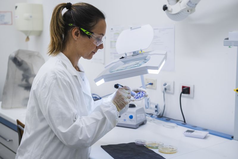 laboratorio micrologico img